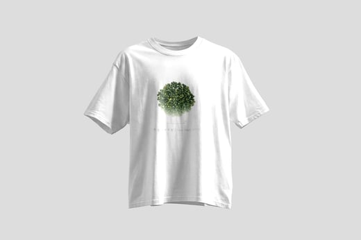Tee — Green GABA Oolong