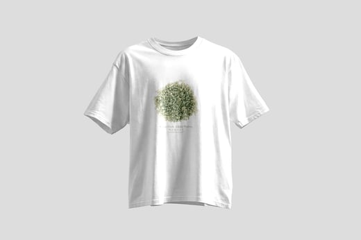 Tee — White Jade GABA Oolong