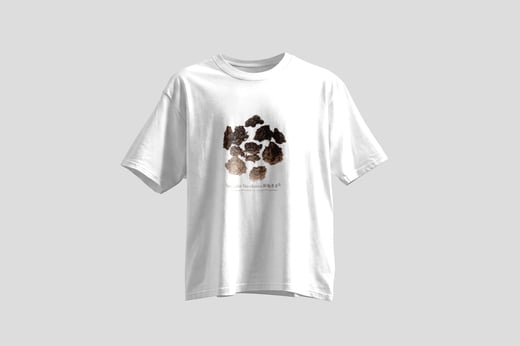 Tee — Lǎo Chá Tóu