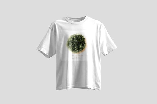 Tee — Fruity Tie Guan Yin