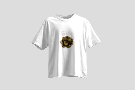 Tee — Gān Jiě Chá