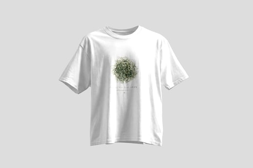 Tee — Yunnan Mao Feng Green Tea