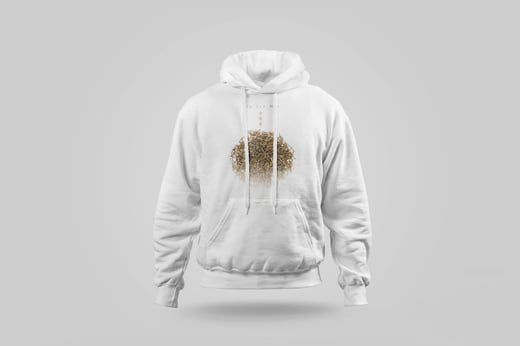 Hoodie — Jīn Jùn Méi