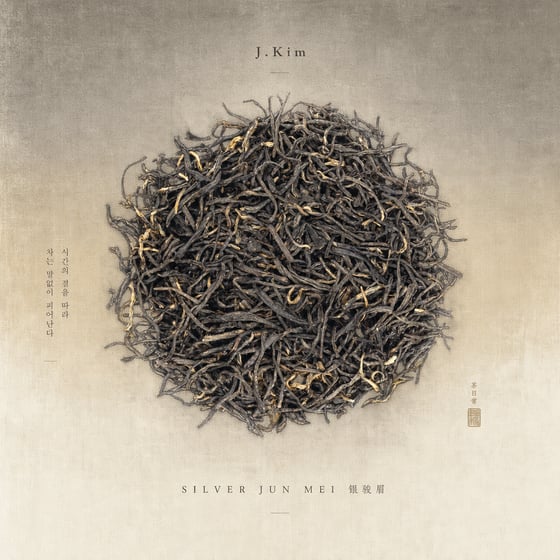 Yín Jùn Méi